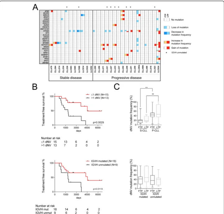 Fig. 2 Mutational status of CLL samples. a Next-generation sequencing of 27 CLL-associated genes in 11 and 17 patients with stable and progressive disease, respectively