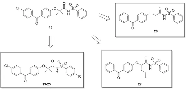 Figure 1. From lead compound 18 to novel benzenesulphonimides 19 –27.