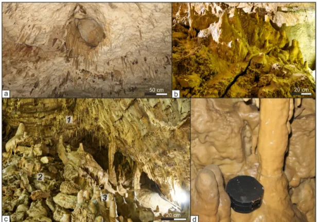 Figure 4. (a) Typical setting of the cave ceilings where originally “long” stalactites (probably more than 1 m) are all truncated at the same point
