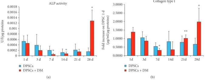 Figure 2: Alkaline phosphatase (ALP) activity and collagen type I release in dental pulp stem cells (DPSCs)