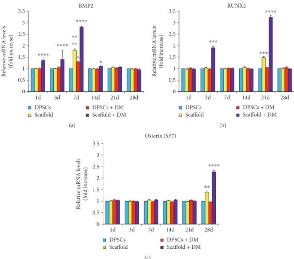 Figure 5: Gene expression proﬁles of diﬀerentiation- and mineralization-associated marker genes in dental pulp stem cells (DPSCs) in the