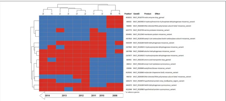 FIGURE 4 | Binary heatmap of the subset of SNP data present only in isolates of patient_ST combination GC_91