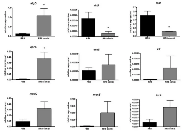 FIGURE 6 | Effect of S. maltophilia RR7 on P. aeruginosa RR8 virulence-related gene expression in mixed biofilm
