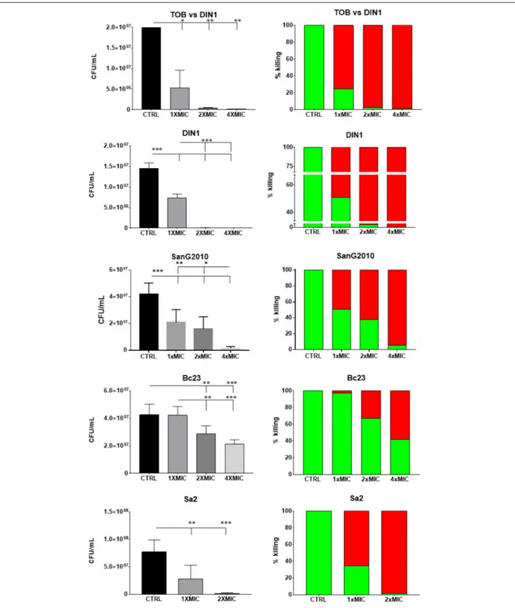 FIGURE 4 | In vitro activity of AgNPs against preformed biofilm: viable cell count. Biofilm samples by P