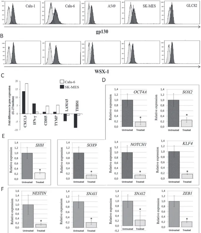 Figure 1: Expression of IL-27R in Human Lung Carcinoma Cell Lines, and IL-27’s Effects on Angiogenesis, Stemness-  and EMT-Related Gene Expression in Calu-6 and SK-MES Cell Lines