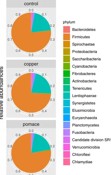 Fig 2. Relative abundances. Pie-chart of relative abundances for the phyla identified in the 15 calves rumen samples, grouped by dietary supplementation.