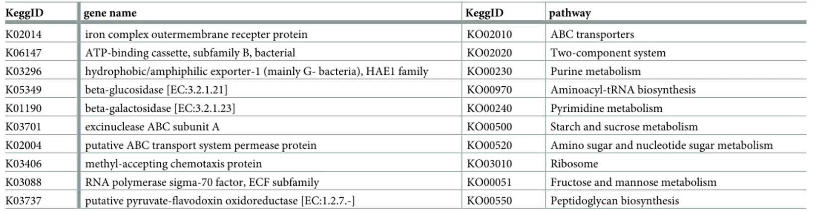 Table 3. Top 10 (most abundant) genes and pathways from metagenome prediction in the 15 calves samples.