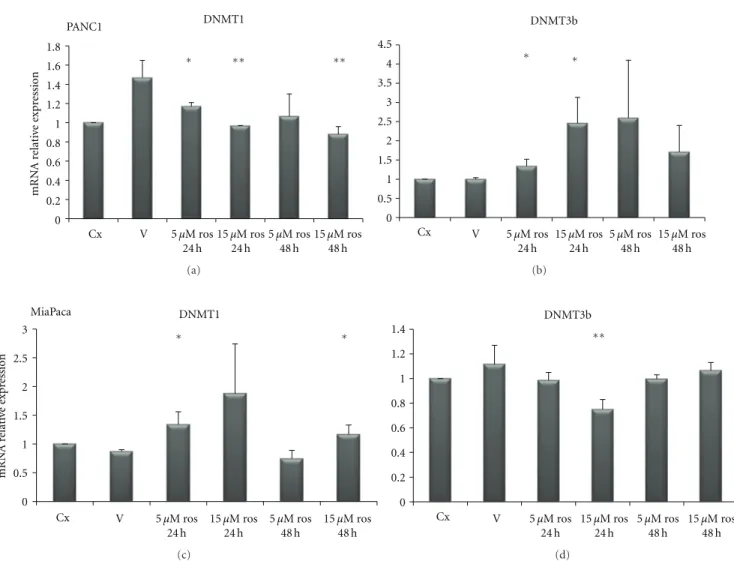 Figure 7: Quantitative real-time PCR. mRNA relative expression levels of DNMT1 and 3B in PANC1 and MiaPaca pancreatic cancer cell lines upon treatment with rosiglitazone at the indicated concentrations and time points.