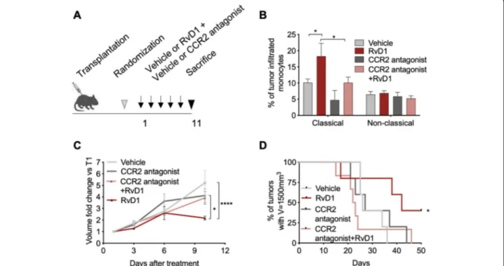 Fig. 5 Depletion of tumor-infiltrated Ly6C high monocytes dampens RvD1 anticancer effects