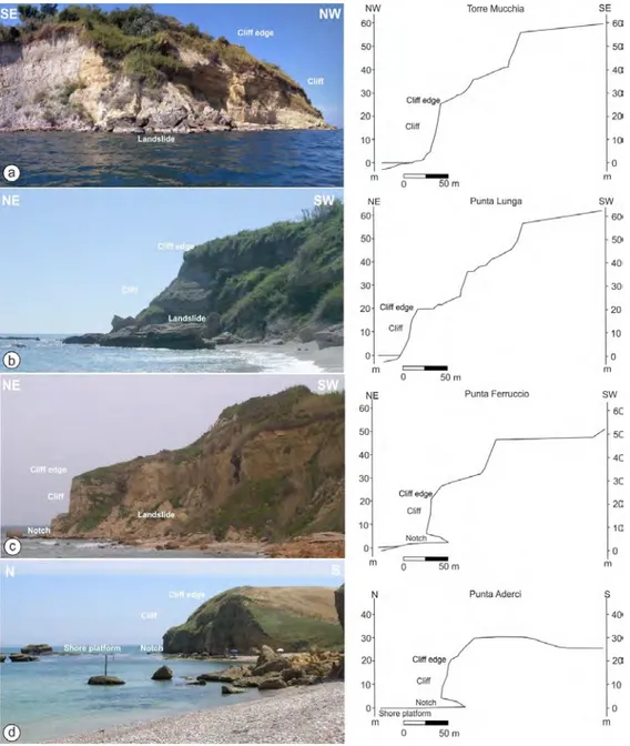 Figure 7. The landscape and topographic profile of: (a) Torre Mucchia; (b) Punta Lunga; (c) Punta  Ferruccio; and (d) Punta Aderci