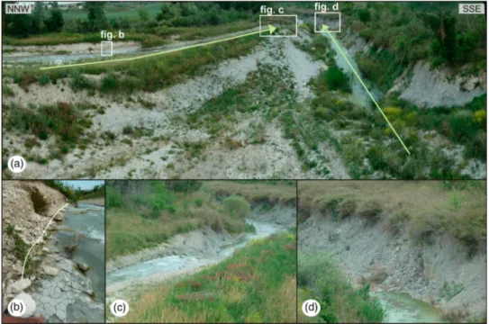Figure 5. The Aventino River at the Guarenna-Selva di Altino bridge (eastern part of the map area); (a) two main channels with trend to down-cutting: the original watercourse (right channel) is now obstructed and has been redirected onto the left channel b