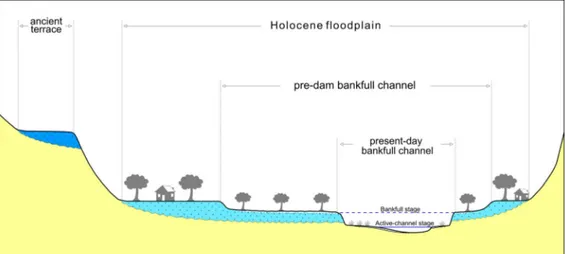 Figure 7. Schematic geomorphological cross-section of the present-day Aventino River ﬂoodplain.