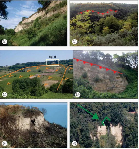 Figure 5. Geomorphological features. (a) Structural scarp near Rocca San Giovanni, (b) Weathered struc- struc-tural scarp, and rockfall scarp in the southern sector near San Vito Chietino, (c) Rotational landslide along the middle-lower Feltrino Stream, (d