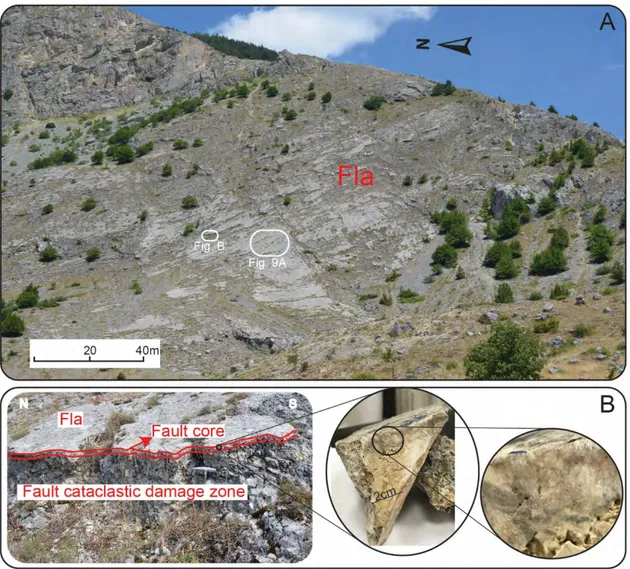 Figure 8. (A) Scanno landslide scar represented by a low-angle normal fault. (B) Fault core and  damage zone in the fault zone and sample showing the fault rocks characterized by decreasing grain  size in the proximity of the slip surface, combined with an