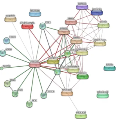 Figure 5. Components-targets analysis conducted through the bioinformatics platform STITCH for unravelling putative targets underlying the pharmacological effects on the extracts of J