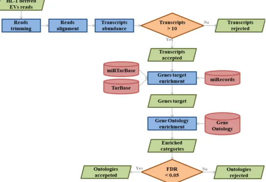 Figure 1. Flowchart of the bioinformatics analysis implemented in the study.  3. Results 