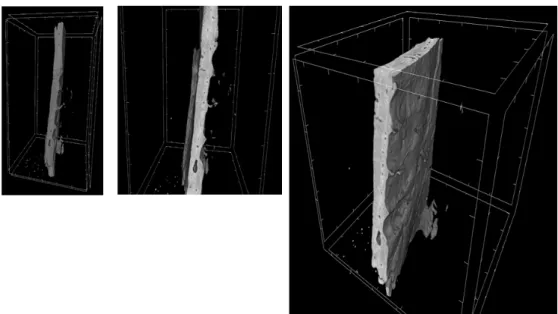 Figure 10. 3D-MicroCT analysis. Three-dimensional volume rendering and virtual transverse  sectioning of 3D-PLA/EVs