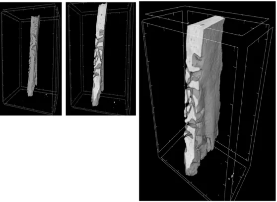 Figure 9. 3D-MicroCT analysis. Three-dimensional volume rendering and virtual transverse  sectioning of 3D-PLA/hGMSCs