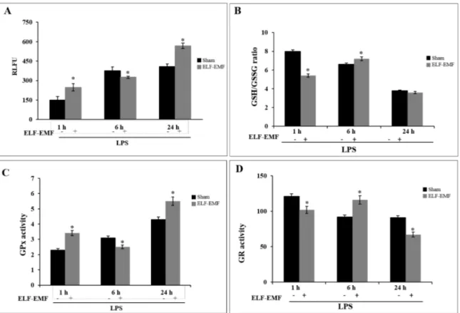 Figure 4. Effect of ELF-EMF exposure on intracellular reactive oxygen species (ROS) formation and