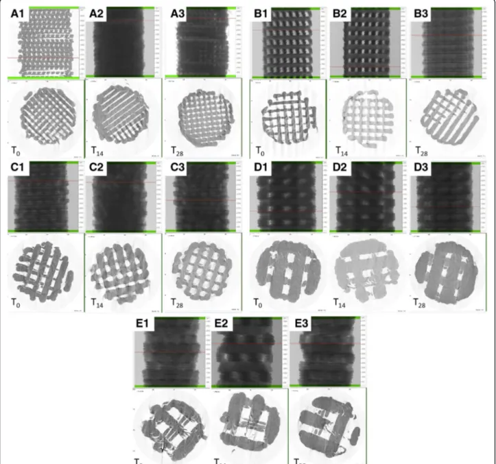 Fig. 2 Microcomputed tomography three-dimensional rendering and evaluation of porosity, pore size, and wall thickness at different degradation time point