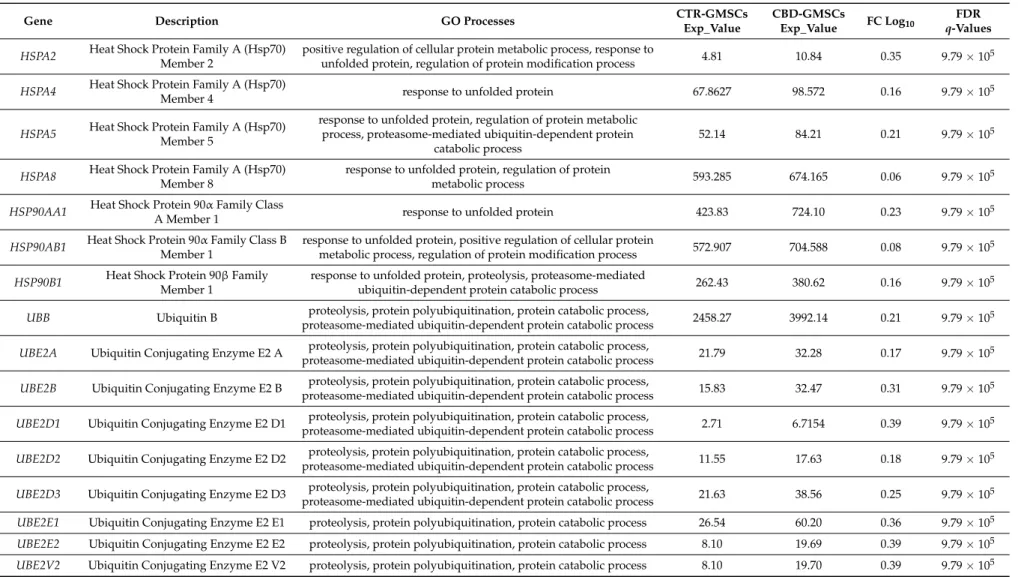 Table 2. CBD treatment upregulated the expression of genes linked to catabolic protein processes, response to unfolded protein and protein polyubiquitination