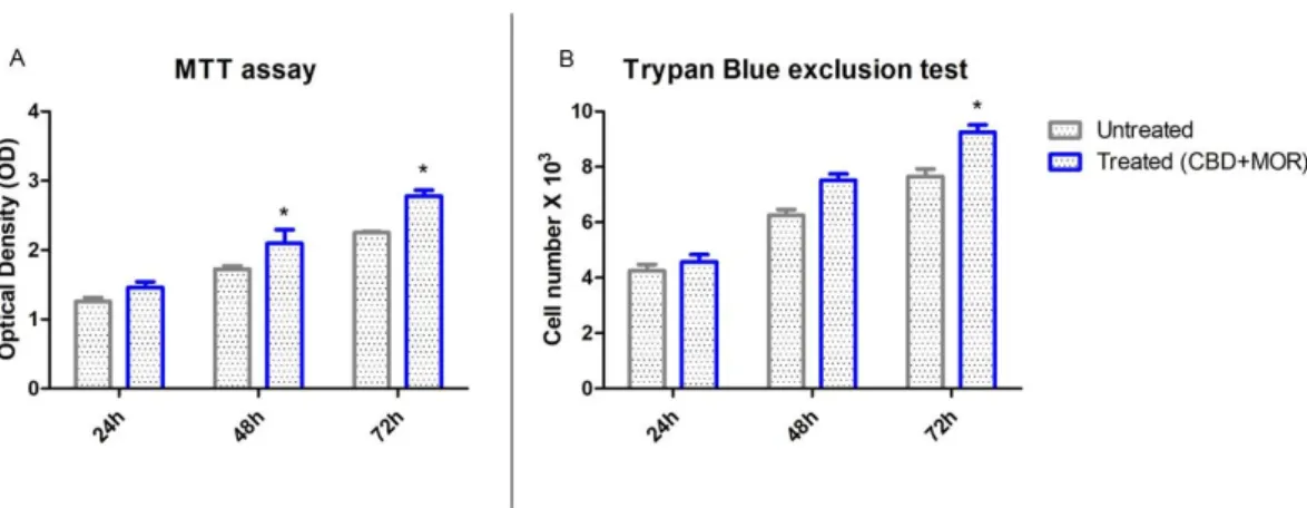 Figure 2. Cell viability assays. (A) Viability rate of untreated and treated (CBD+MOR) hPDLSCs at 