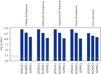 Figure 6: IPA functional analysis of the three gene datasets. IPA biological function analysis shows key functions modulated at P15 by the selected genes for hPDLSCs, hGMSCs, and hDPSCs.
