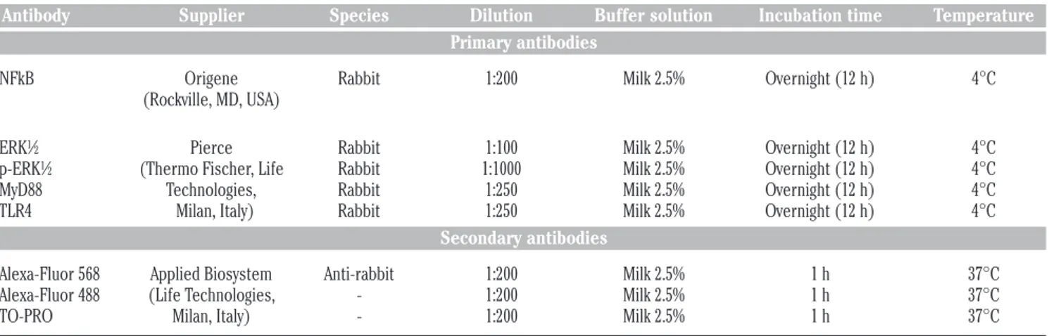 Table 1. Antibodies used.