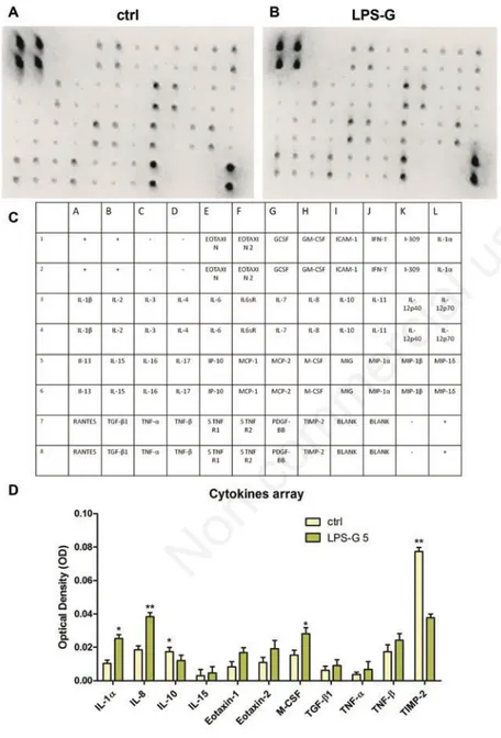 Figure 3. Cytokines release in hPDLSCs in hPDLSCs treated with 5 µg/mL. Cytokines and chemokines release was analysed in medium from untreated and treated hPDLSCs with  LPS-G  5  µg/mL  hPDLSCs  cultures