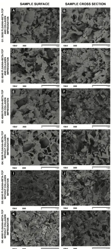 Figure 1. Scanning electron microscopy surface (A,C,E,G,I,K) and cross-section (B,D,F,H,J,L) images 