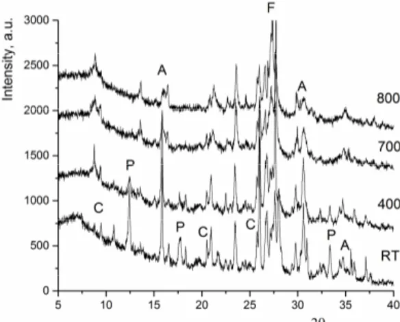 Figure 4 reports the results of the X-ray diffraction analysis of the heat-treated original NYT samples.