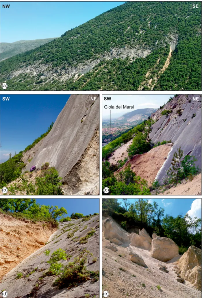 Figure 5. The Serrone fault. a) Main fault scarp partly eroded by gully incision; b) main fault plane and rock scarp; c) fault scarp in the middle part of the fault, with ancient talus slope deposits onlapping onto and cut by the fault; d) close up of the 