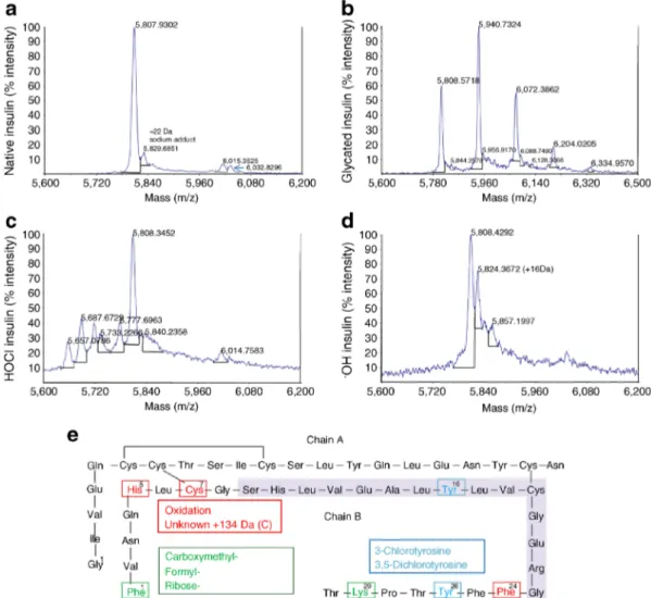 Fig. 2 Analysis of native insulin and oxPTM-INS by MS. (a –d)