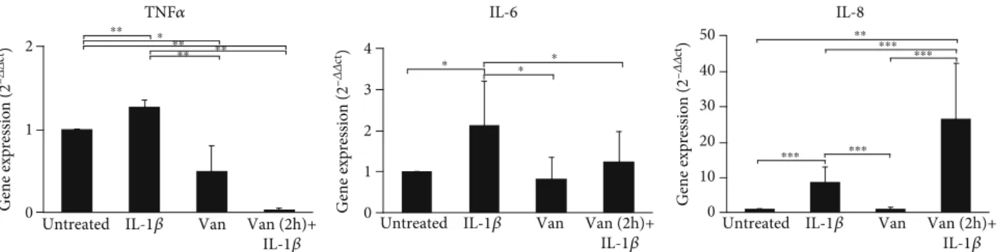 Figure 8: Gene expression of TNF-α, IL-6, and IL-8 in HGF scratched cells. Data are reported as mean and 95% CI, of three independent experiments