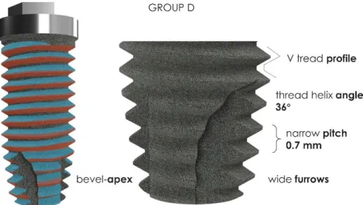 Figure 3. Group C: in detail, the morphology and thread geometry of the cylindrical implants