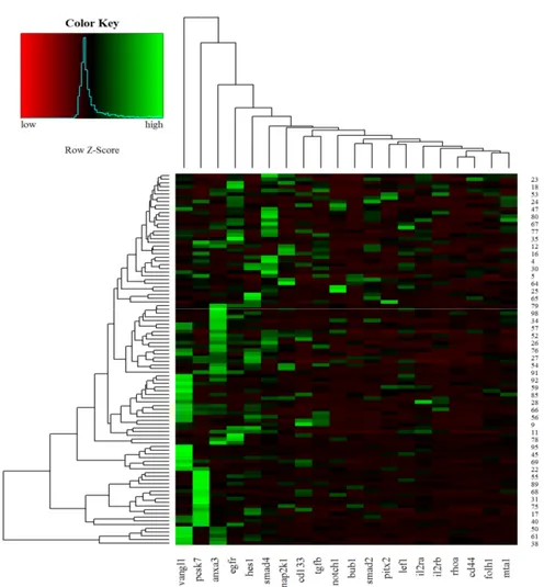 Figure 5. Heat maps of real-time RT-qPCR data representing gene expression variations of the 20 