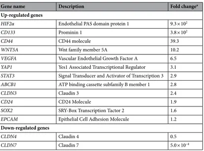 Table 1.   Significant fold change variation of mRNA expression of candidate genes between DHSF-BR16 cells 