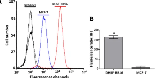 Figure 2.  ROS generation in DHSF-BR16 and MCF-7 cells. In the presence of ROS, DCFH-DA is converted 