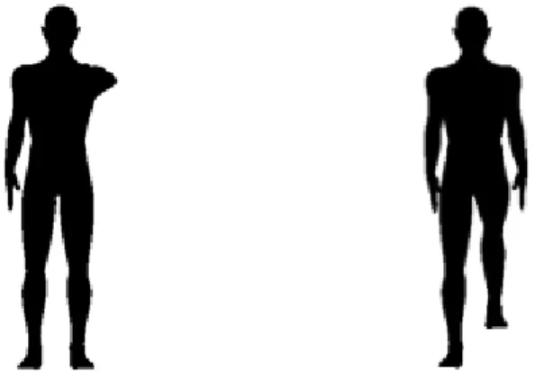 Figure 6. Example of a stimulus with an arm or a leg extended. 