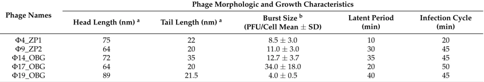 Table 1. Phage morphology at transmission electron microscopy and scanning transmission electron microscopy image analyses and growth characterization for the five newly isolated environmental lytic phages selected.