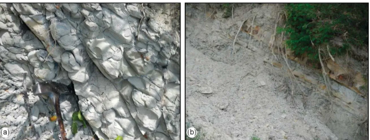 Figure 7. Lithological features of the bedrock arenaceous layers in the Ponzano area: (a) thick sandstone layers; (b) alternating sandstone layers with thin clay levels.