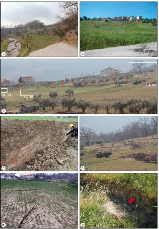 Figure 10. Geomorphological features of the Ponzano landslide. (a) upper part of the main southern scarp (up to &gt;10 m high); (b) main northern upper scarp close to the Ponzano village (up to 5 m high); (c) lateral scarp in the southern side of the lands