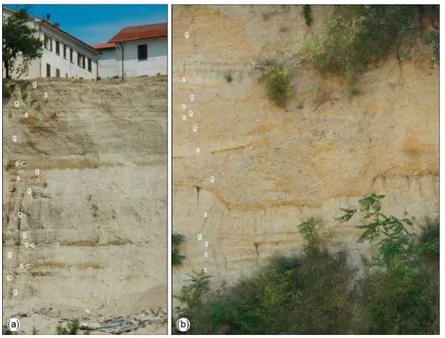 Figure 12. Lithological features of the terraced Middle Pleistocene alluvial fan deposits: (a) alternating gravel (g), sand (s) and clayey-sand (s-c) on the entire landslide scarp; (b) close up of the lithological features of the scarp.