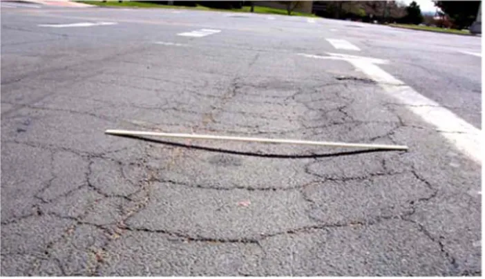 Figure 2. Rutting distress  3. The use of reinforcement in flexible pavement   