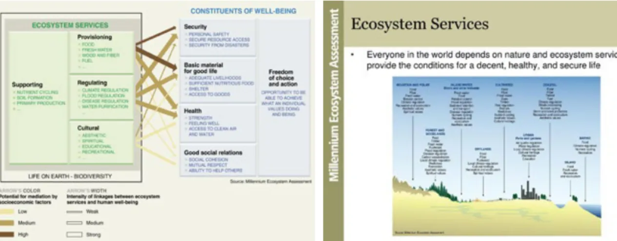 figure 13. classification and identification of the main ecosystem services of biomes (from millenium ecosystem assessment   Synthesis 2005).