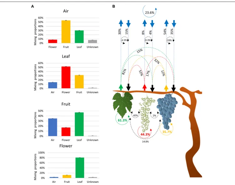 FIGURE 2 | Charts showing fractions of the estimated sources of fungal communities in each sink environment (air, leaves, and flowers/fruit) (A) and schematic description of the estimated source of the fungal communities associated with air and plant organ