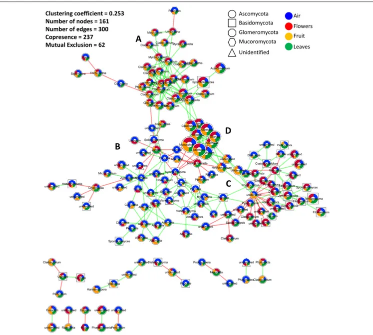 FIGURE 3 | Microbial association network showing interactions (co-occurrence and mutual exclusion) represented by green and red links, respectively