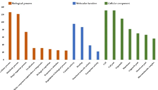 Fig 3. Functional annotation of the differentially expressed genes using Gene 