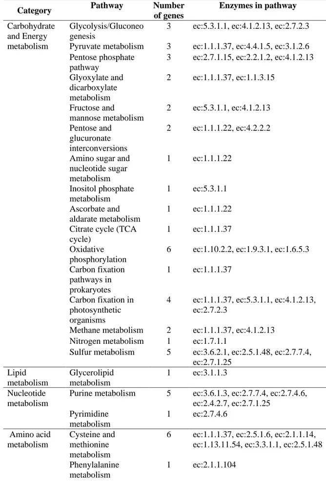 Table 2. List of KEGG pathways of orange fruits treated with PGE and their 