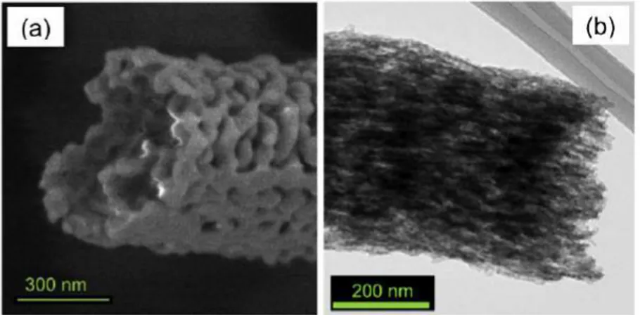 Figure  12.  TEM  images  of  (a)  undoped  -Fe 2 O 3   and  (b)  Si-doped  -Fe 2 O 3   fibers  (reproduced  from  reference [140] with permission